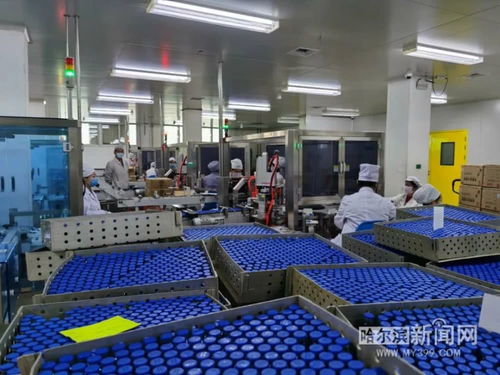 保供抗疫藥品，哈藥復工防護用品生產迎挑戰